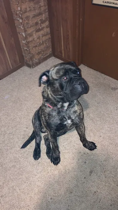 Hartford Veterinary Clinic Picture 7