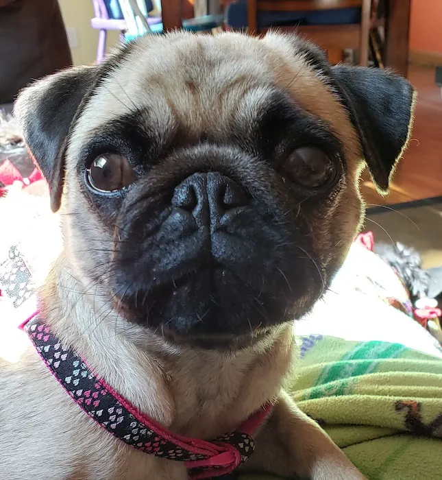 Hartford Veterinary Clinic Picture 8