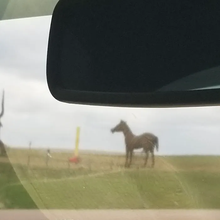 Montrose Veterinary Clinic Picture 1