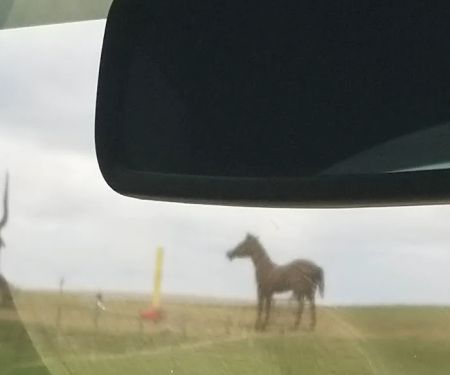 Montrose Veterinary Clinic