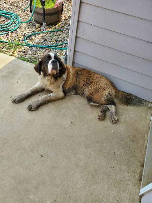 Montrose Veterinary Clinic Picture 3