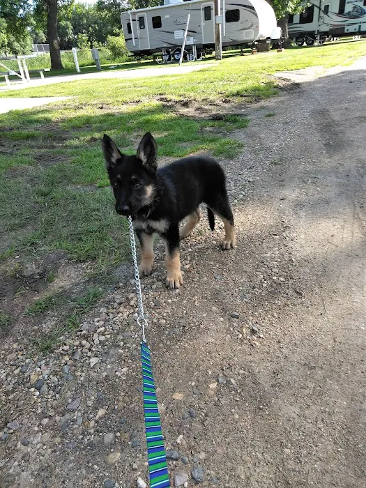 Flandreau Veterinary Clinic Picture 3