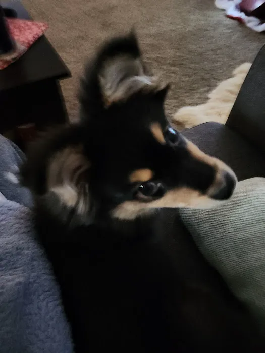 Flandreau Veterinary Clinic Picture 1