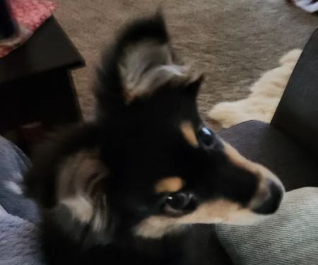 Flandreau Veterinary Clinic