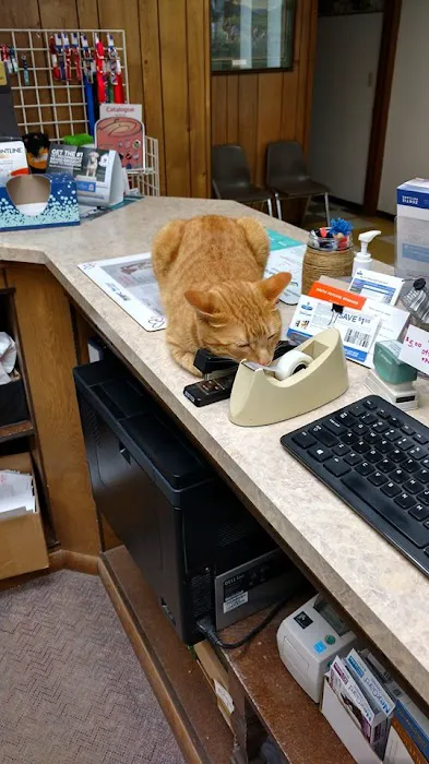 Western Veterinary Clinic Picture 1