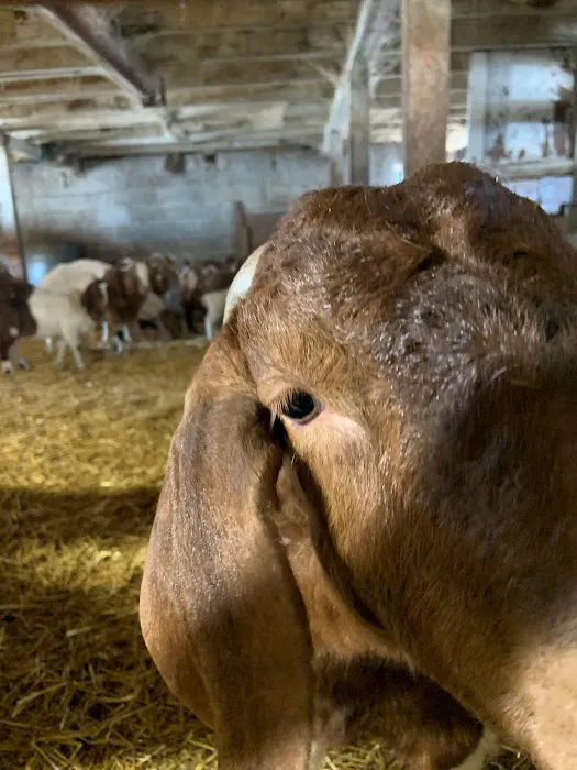 Western Veterinary Clinic Picture 3