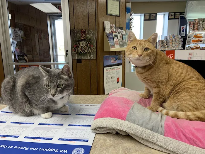 Western Veterinary Clinic Picture 8