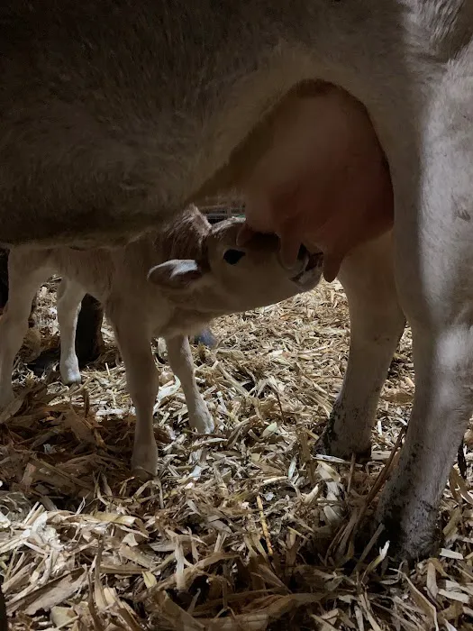 Western Veterinary Clinic Picture 9