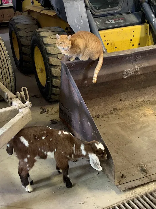 Western Veterinary Clinic Picture 7