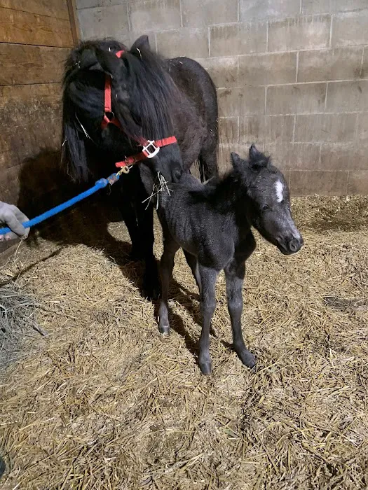Western Veterinary Clinic Picture 10