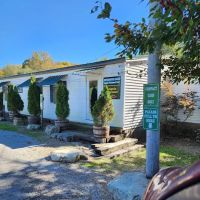 Angels Vet Express ico