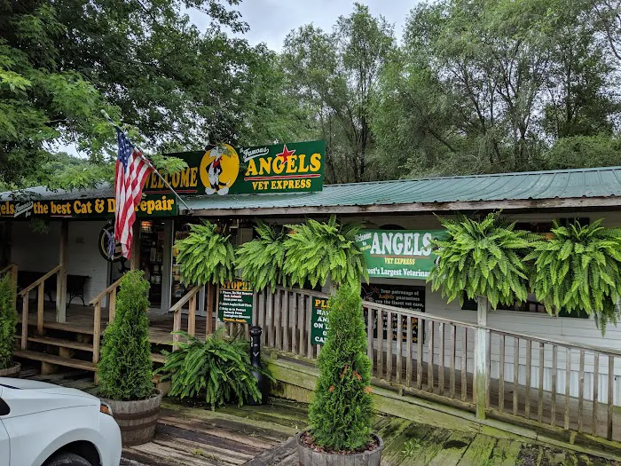 Angels Vet Express Picture 3