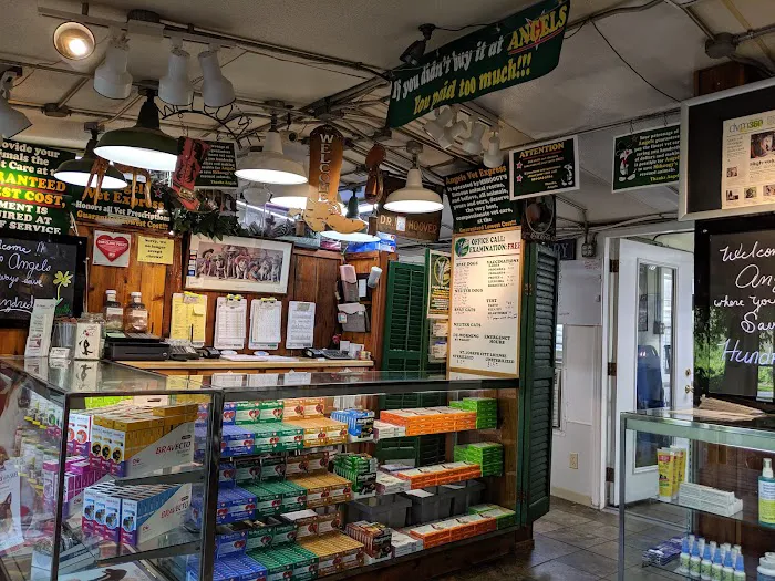 Angels Vet Express Picture 2