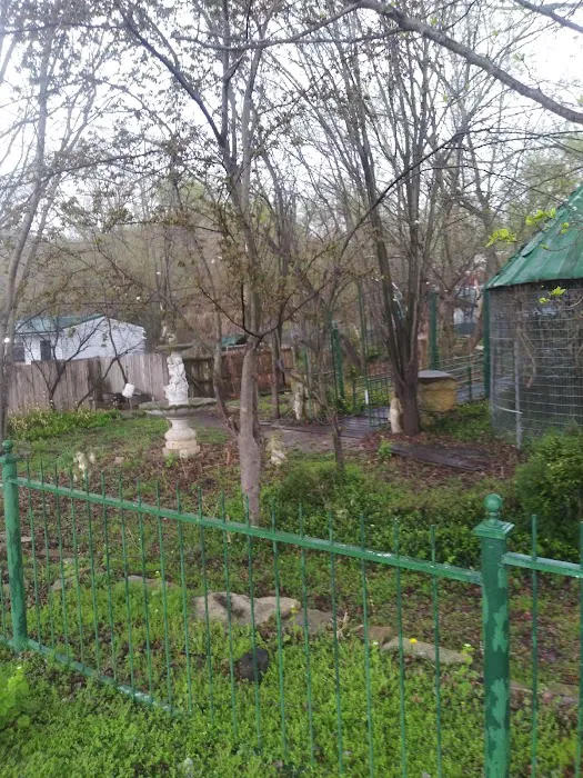 Angels Vet Express Picture 7