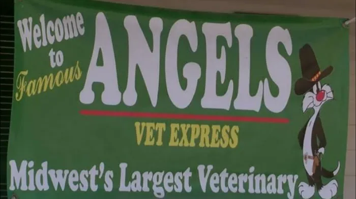 Angels Vet Express Picture 8