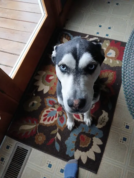 Savannah Veterinary Clinic Picture 3