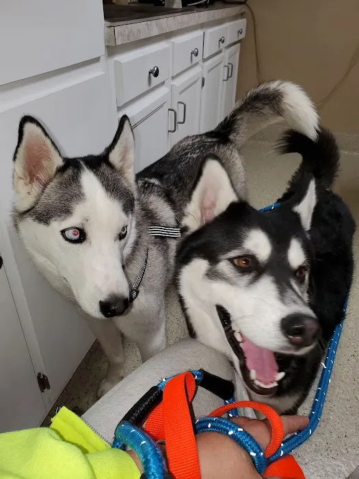 Savannah Veterinary Clinic Picture 6