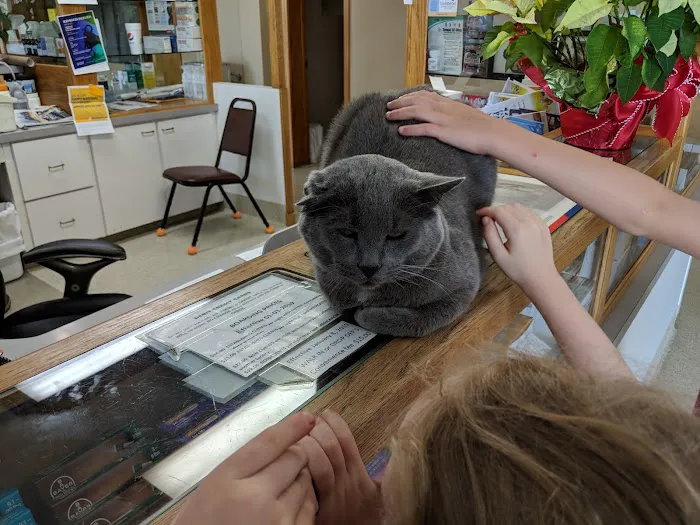 Savannah Veterinary Clinic Picture 8