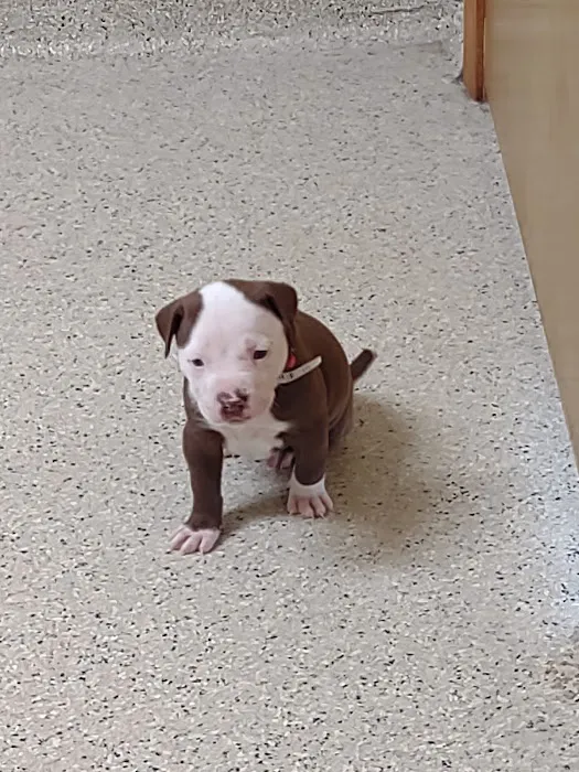 Savannah Veterinary Clinic Picture 9