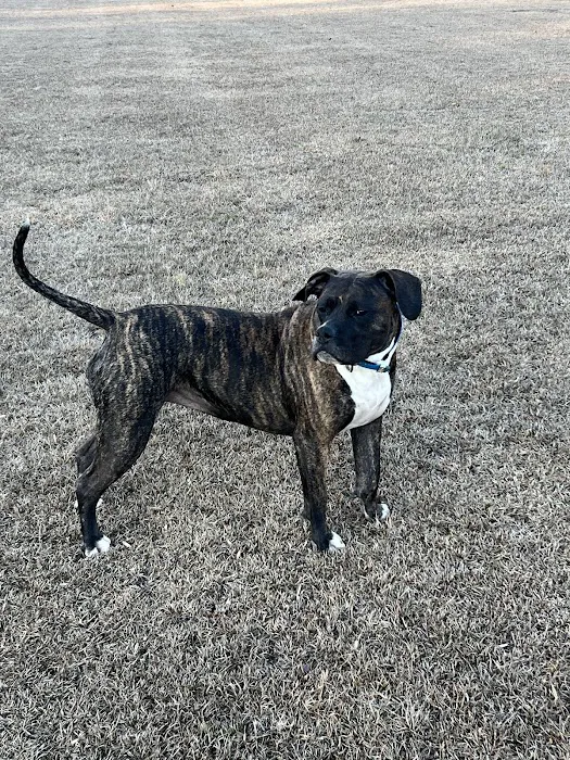 Arbor Valley Animal Clinic Picture 1