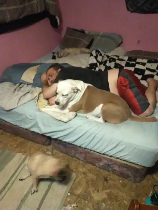 Arbor Valley Animal Clinic Picture 3