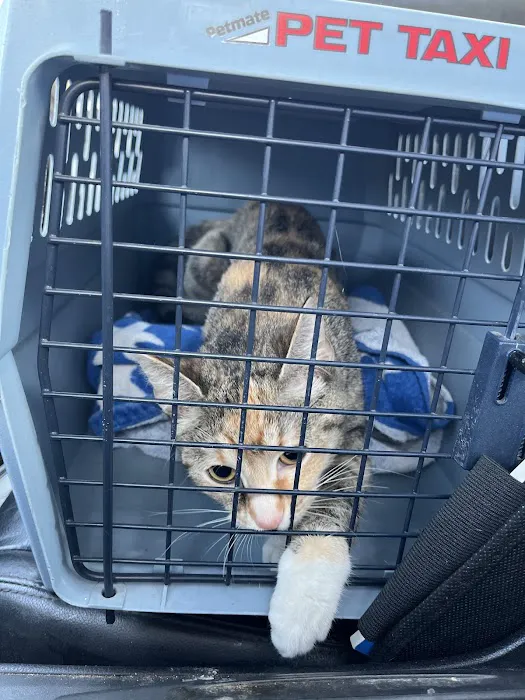 Syracuse Veterinary Service Picture 7