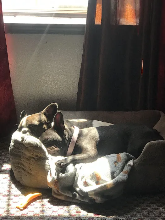 Town & Country Veterinary Clinic Picture 4