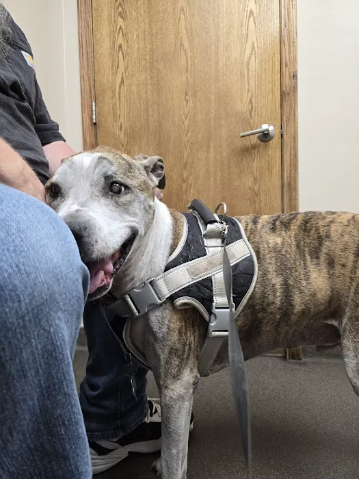 Countryside Veterinary Clinic Picture 3