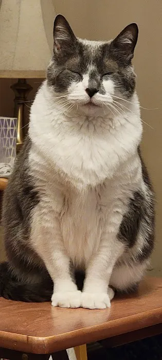 Countryside Veterinary Clinic Picture 2