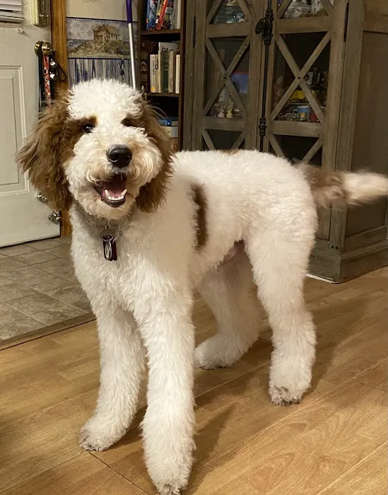 Countryside Veterinary Clinic Picture 5