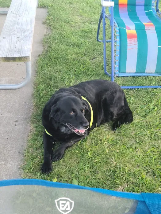 Countryside Veterinary Clinic Picture 6