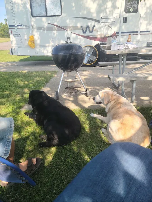 Countryside Veterinary Clinic Picture 7