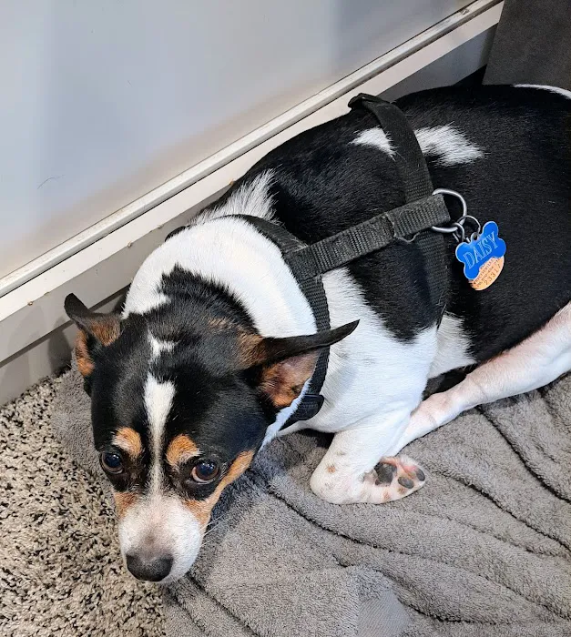 Countryside Veterinary Clinic Picture 8