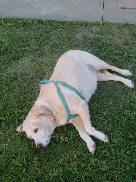 Countryside Veterinary Clinic Picture 10