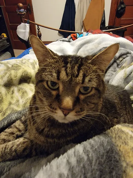 Countryside Veterinary Clinic Picture 9