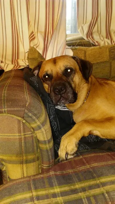 Twin Pines Animal Clinic Picture 5