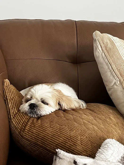 Twin Pines Animal Clinic Picture 4