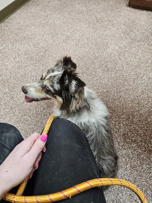 Twin Pines Animal Clinic Picture 6