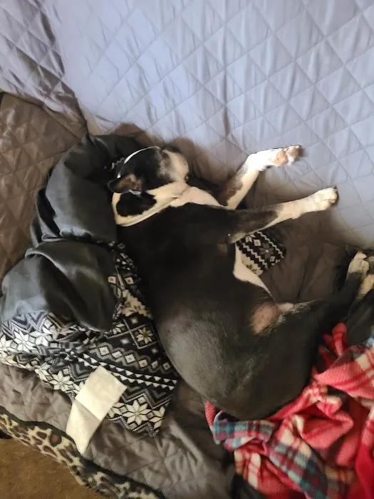 Twin Pines Animal Clinic Picture 1