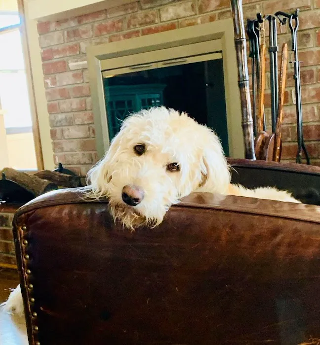 Twin Pines Animal Clinic Picture 8