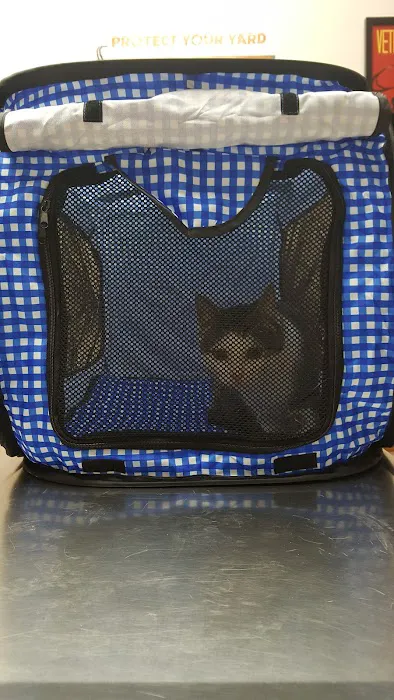 Twin Pines Animal Clinic Picture 9