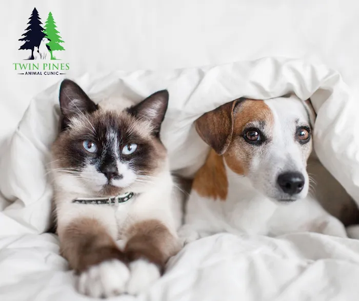 Twin Pines Animal Clinic Picture 10