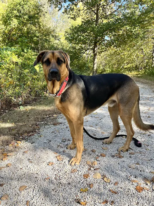 East Hills Veterinary Clinic Picture 2