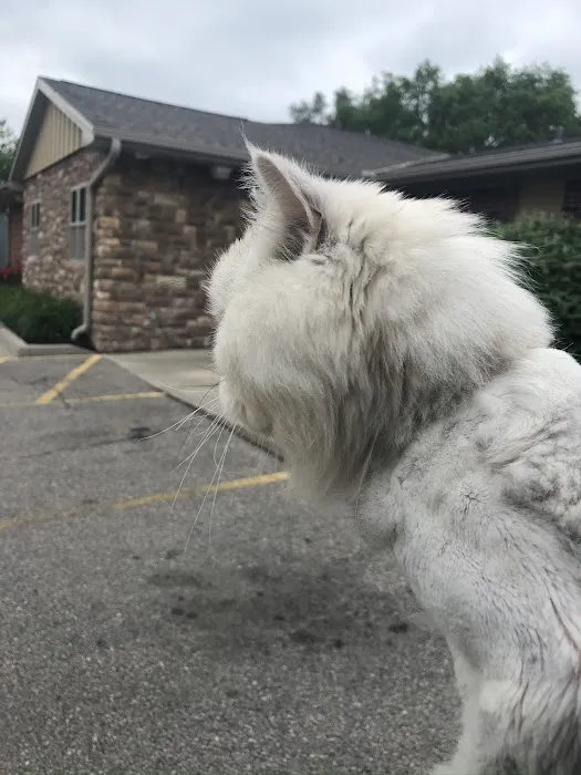 All Creatures Animal Hospital Picture 4