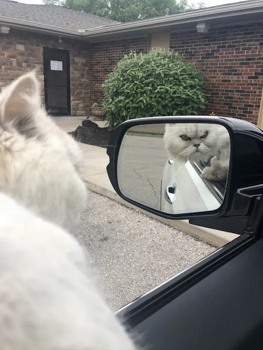 All Creatures Animal Hospital Picture 9