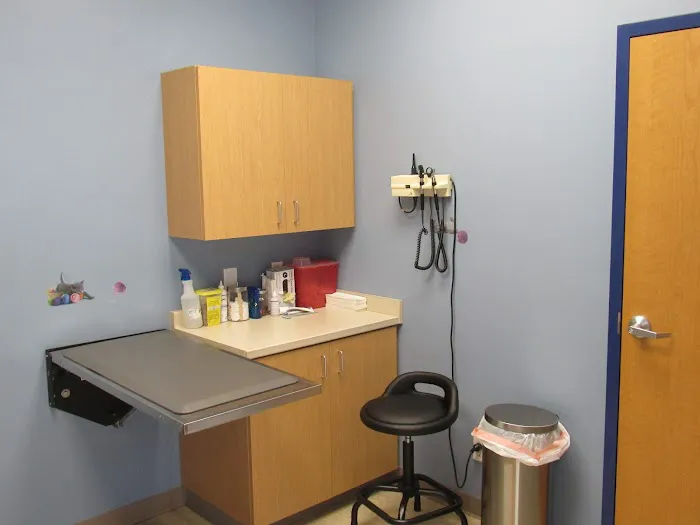 Animal Tales Veterinary Clinic Picture 6