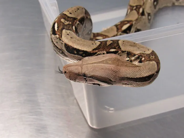 Animal Tales Veterinary Clinic Picture 8