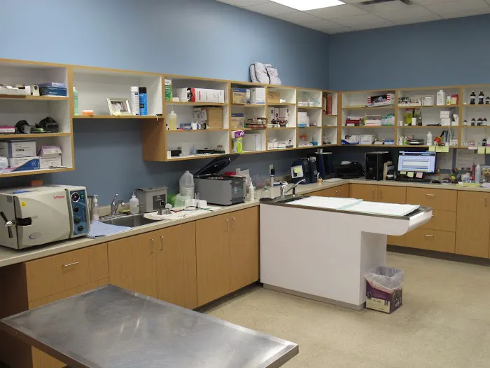 Animal Tales Veterinary Clinic Picture 10