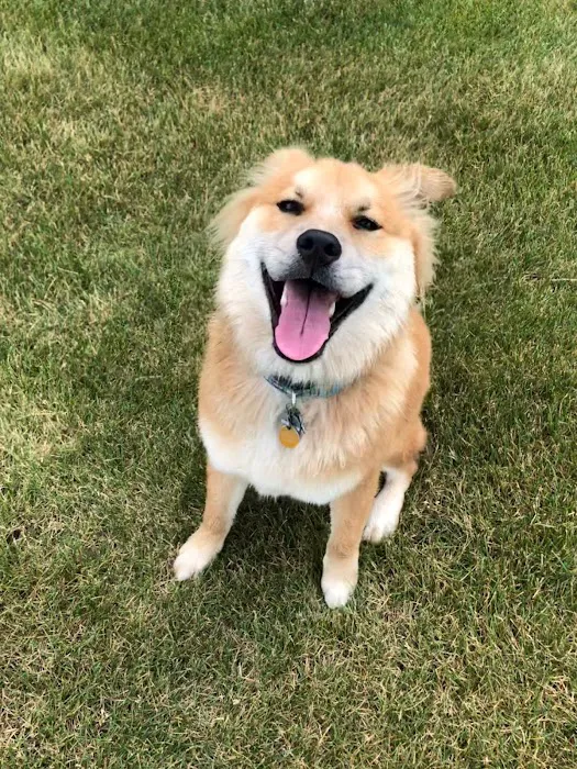 Animal Clinic of Newmark Picture 1