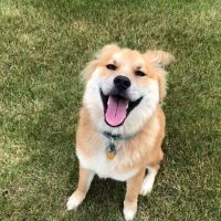 Animal Clinic of Newmark ico